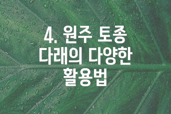 4. 원주 토종 다래의 다양한 활용법