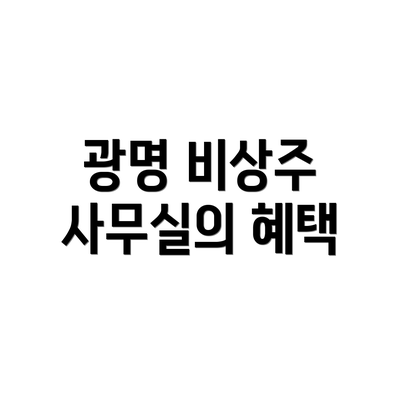 광명 비상주 사무실의 혜택