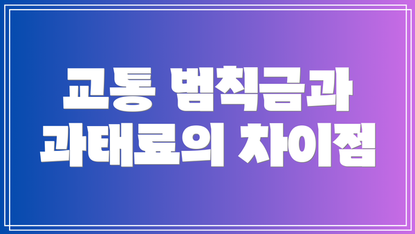 교통 범칙금과 과태료의 차이점