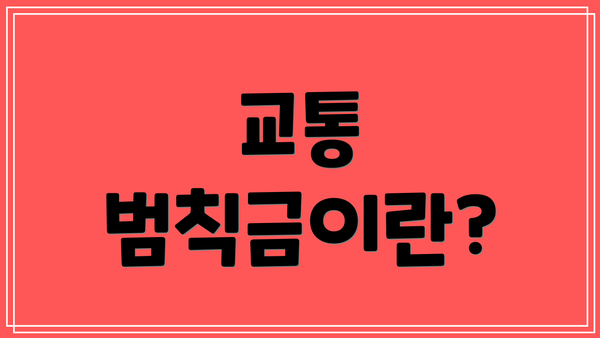 교통 범칙금이란?