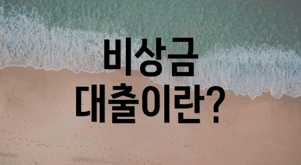 비상금 대출이란?