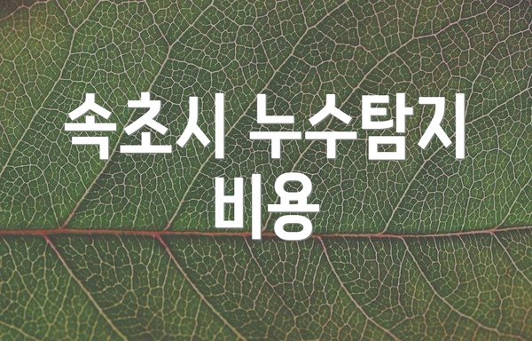 속초시 누수탐지 비용