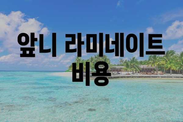 앞니 라미네이트 비용