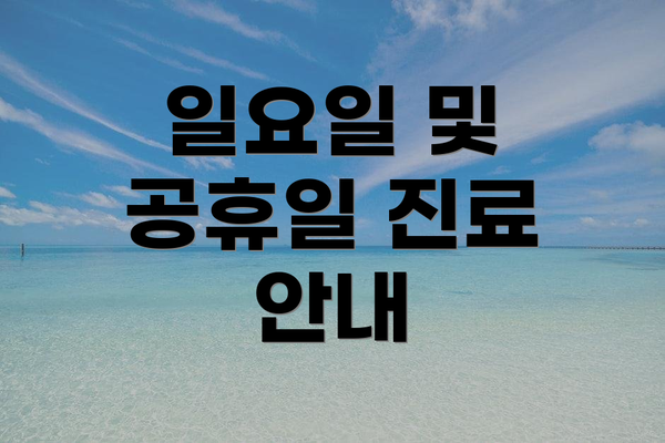 일요일 및 공휴일 진료 안내