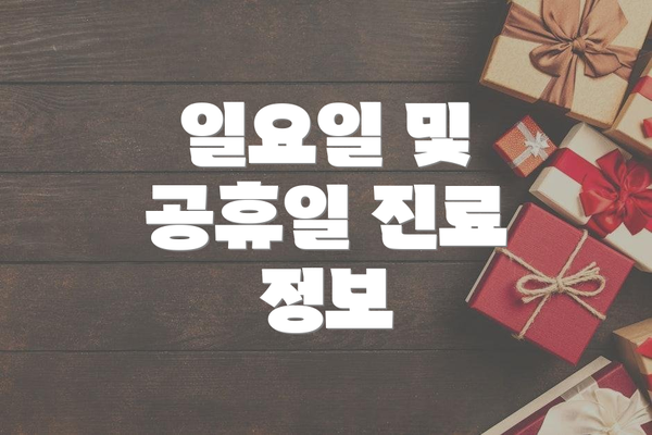 일요일 및 공휴일 진료 정보