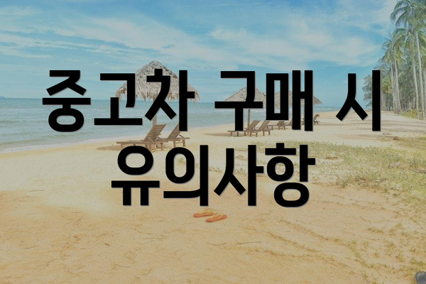 중고차 구매 시 유의사항