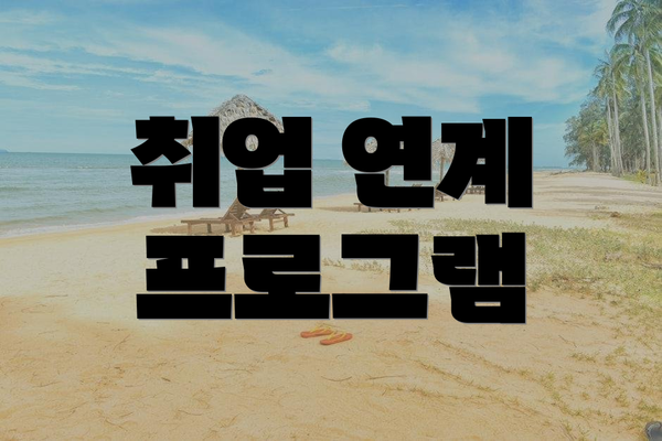 취업 연계 프로그램