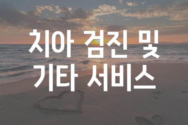 치아 검진 및 기타 서비스