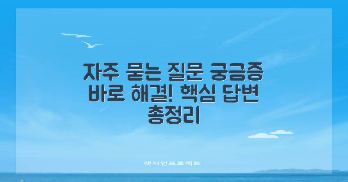 자주 묻는 질문