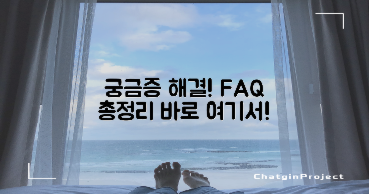 자주 묻는 질문